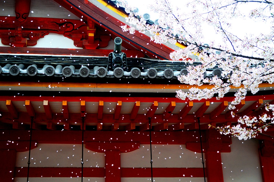 日本・東京のイメージとしての神社仏閣と桜