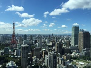 空から眺めた東京