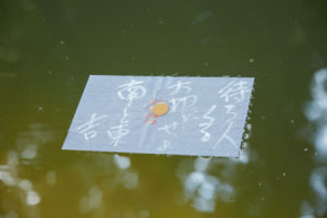 八重垣神社 鏡の池の縁占い